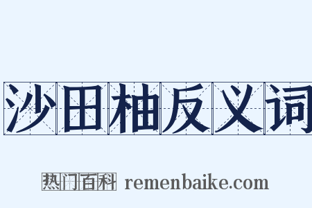 沙田柚反义词是什么意思的图片